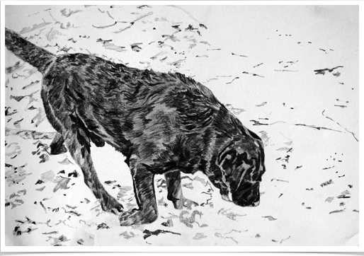 Snowy Nero
pencil on paper
30 x 20 cm